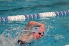 Women's Swimming & Diving  Wheaton College Women’s Swimming & Diving vs Mount Holyoke College. - Photo by Keith Nordstrom : Wheaton, Swimming & Diving